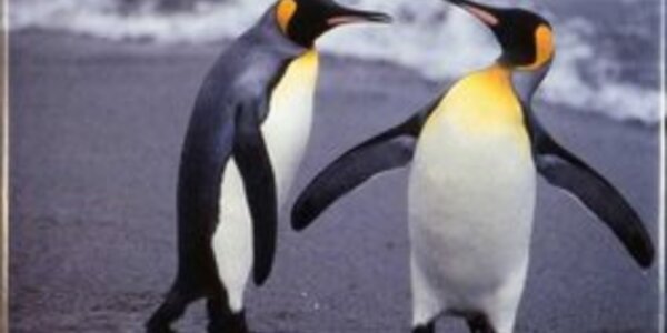 Article teaser image