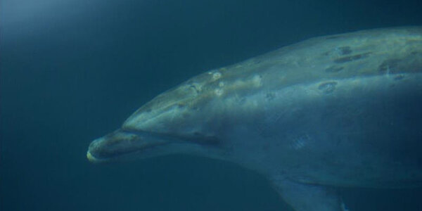 Article teaser image