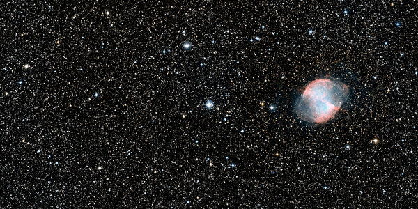 Article teaser image