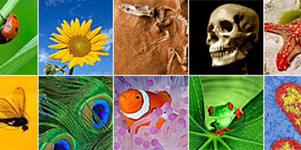 Article teaser image