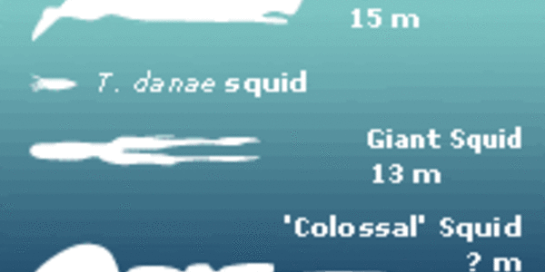 Article teaser image