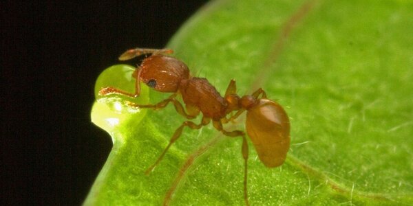 Article teaser image