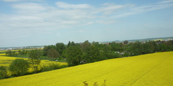 Article teaser image