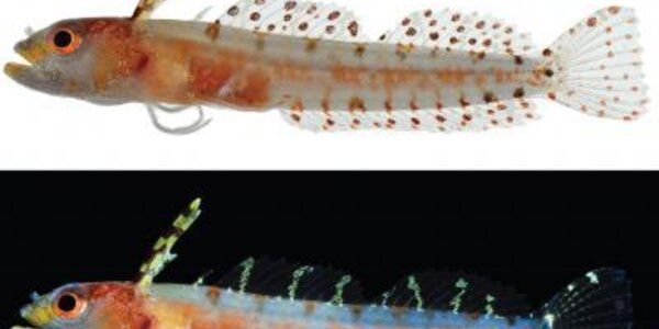 Article teaser image