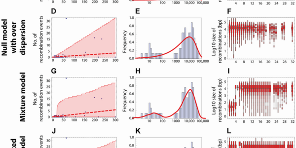 Article teaser image