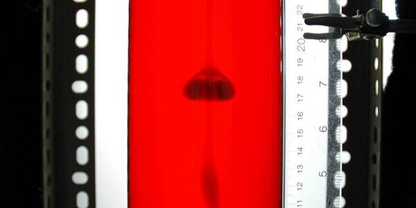 Article teaser image