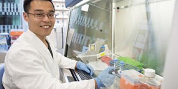 Article teaser image