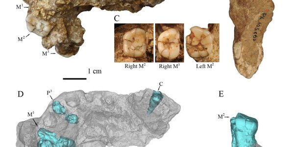 Article teaser image