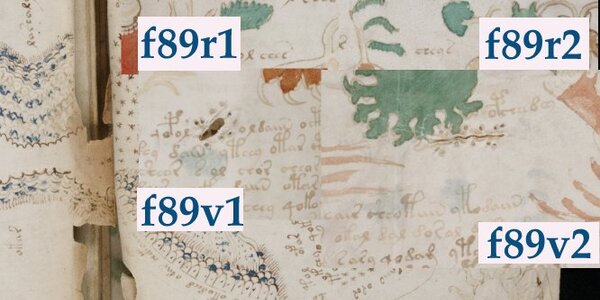 Article teaser image