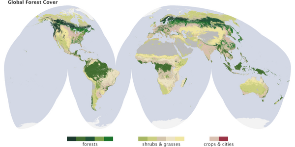 Article teaser image