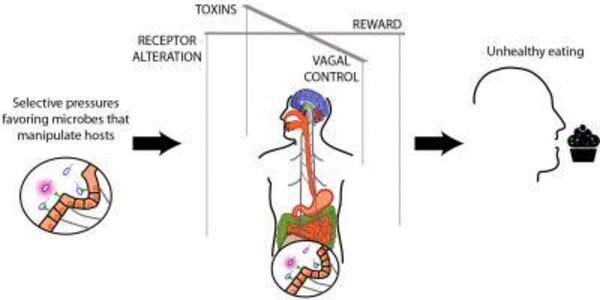 Article teaser image