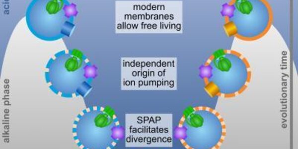 Article teaser image