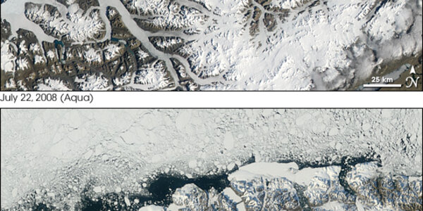 Article teaser image