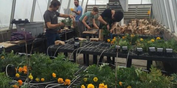 Article teaser image