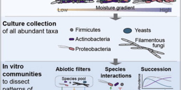Article teaser image