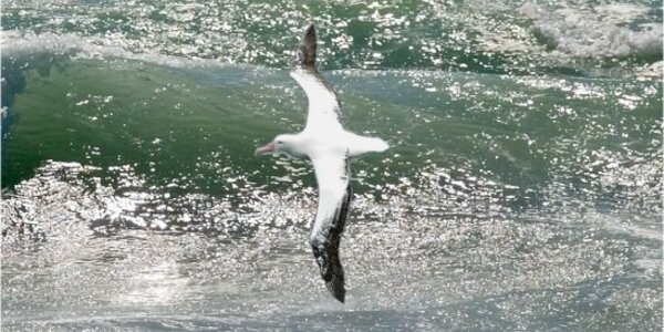 Article teaser image