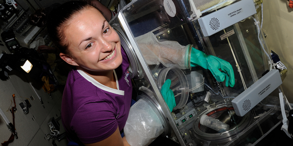 Article teaser image