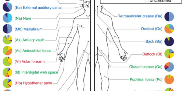 Article teaser image