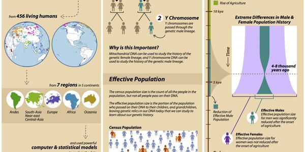 Article teaser image