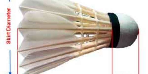 Article teaser image