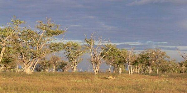 Article teaser image