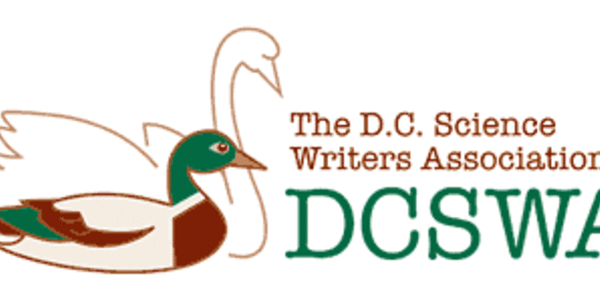 Article teaser image