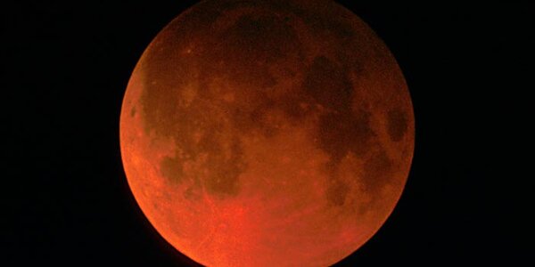 Article teaser image