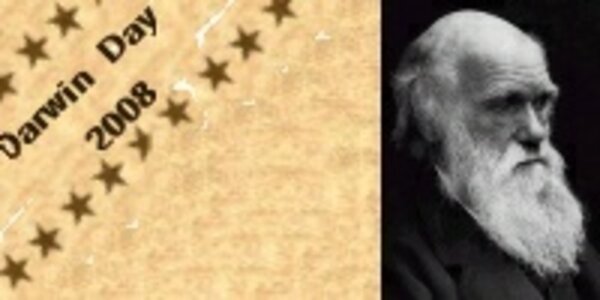 Article teaser image