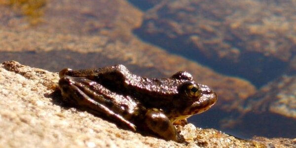 Article teaser image