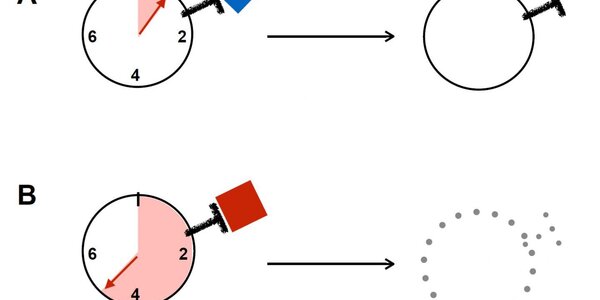 Article teaser image