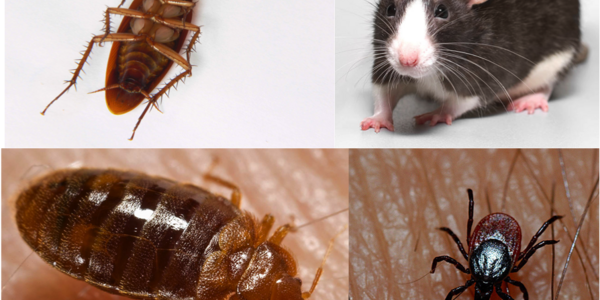 Article teaser image