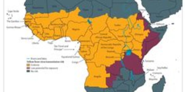 Article teaser image