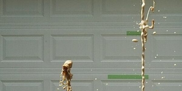 Article teaser image