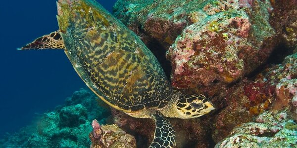 Article teaser image