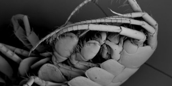 Article teaser image