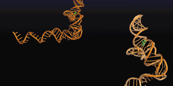 Article teaser image