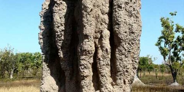 Article teaser image