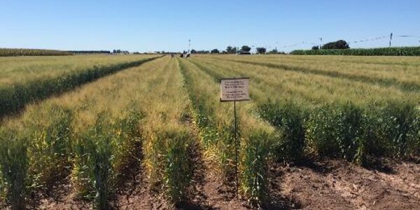 Article teaser image