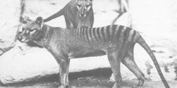 Article teaser image