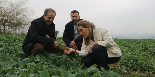 Article teaser image