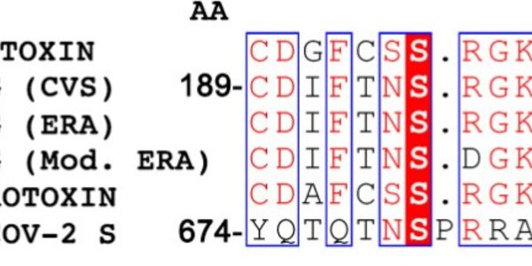 Article teaser image