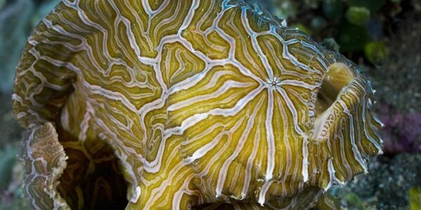 Article teaser image