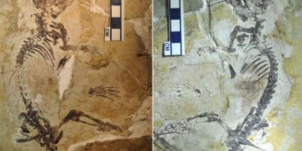 Article teaser image