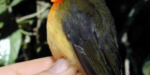 Article teaser image