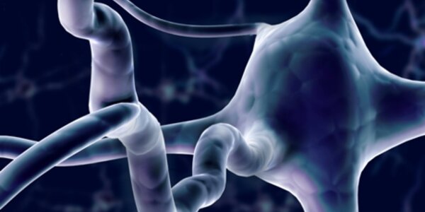 Article teaser image