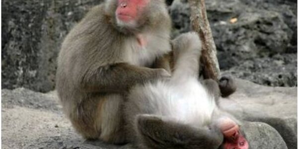 Article teaser image