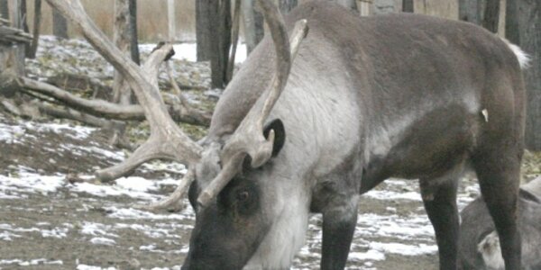 Article teaser image