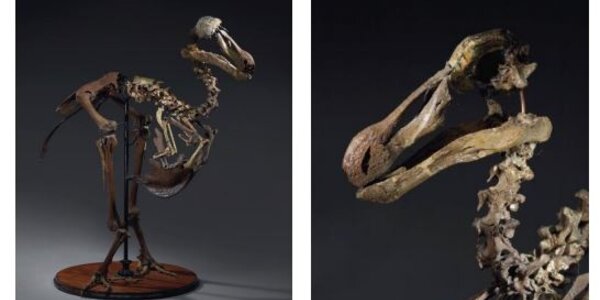 Article teaser image