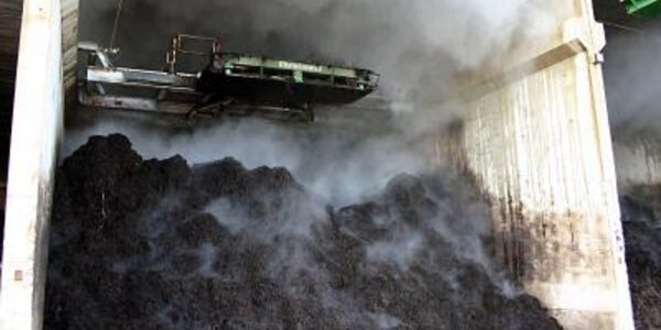 Article teaser image