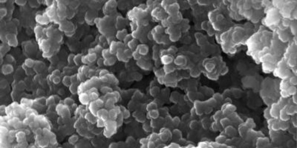 Article teaser image